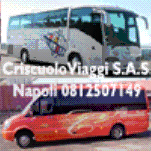 Noleggio Bus Autobus Minibus transfer, viaggi nazionali ed internazionali