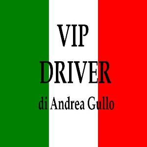 VIP DRIVER DI ANDREA GULLO - MILANO (MI) 